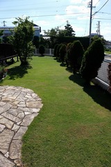 DSCF2708