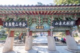 釜山(7)