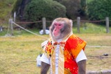 DSCF0047