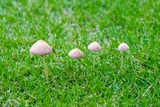 DSCF1007