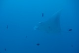 DSC07019