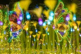 夏のイルミネーション(17)