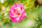 DSCF0260