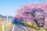 山の手さくらまつり(1)