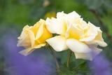 DSCF0324-2