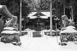 DSCF0051