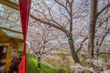 トロッコ列車の旅(3)