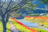DSCF0051-4