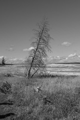 DSCF0742