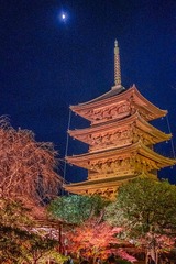 DSCF0295