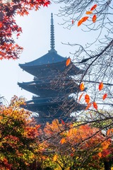 DSCF0078