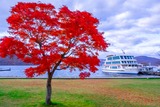DSCF0111