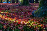 DSCF0036