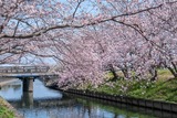 DSCF0219