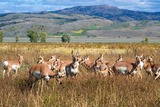 DSCF0244