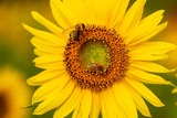 DSCF0029