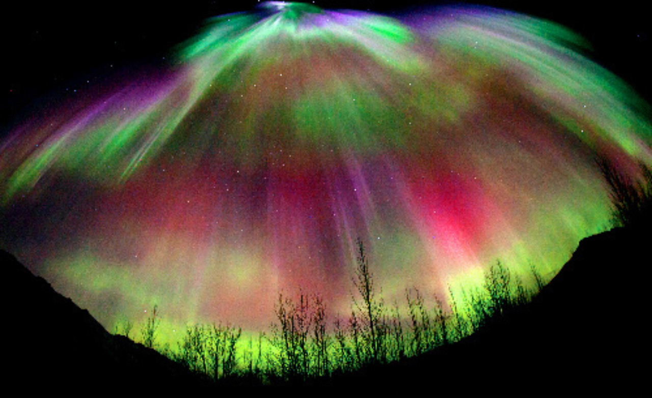 いざイエローナイフへ 杉井のひとこと いざイエローナイフへ 杉井のひとこと