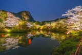 DSCF3077