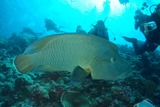 DSC00019