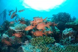 DSC00008