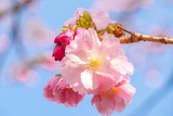 DSCF0307