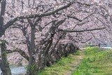 DSCF0216