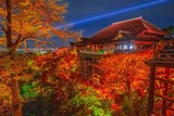 DSCF0294