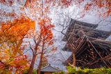 秋の京都(41)