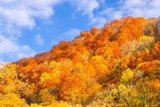 DSCF0092