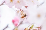 DSCF0019-2