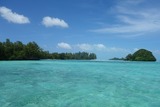 DSC07646