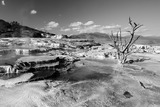 DSCF0042(1)