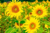 DSCF0026