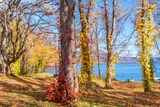 DSCF0228