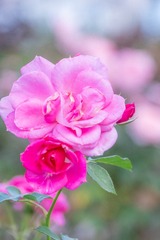 DSCF0043