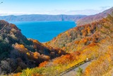 DSCF0052