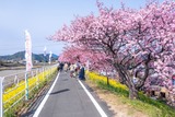 DSCF0964-2
