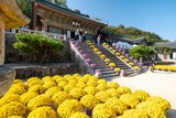 釜山(13)