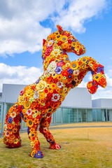 DSCF0014