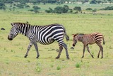 DSCF0085