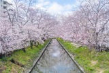 DSCF0004