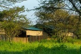 DSCF2987