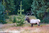 DSCF0892