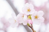 DSCF0015