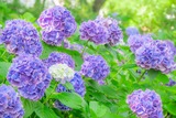 DSCF0047