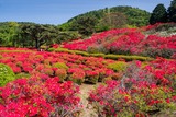 小室山公園(1)