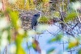 DSCF0270