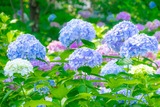 DSCF0043