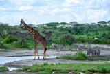 DSCF0864