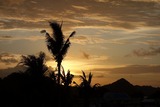 DSC07345